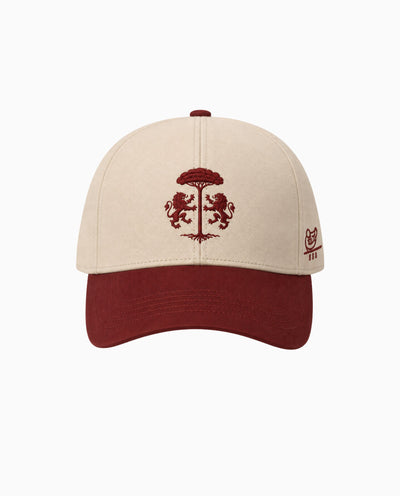Cappello baseball Bicolor